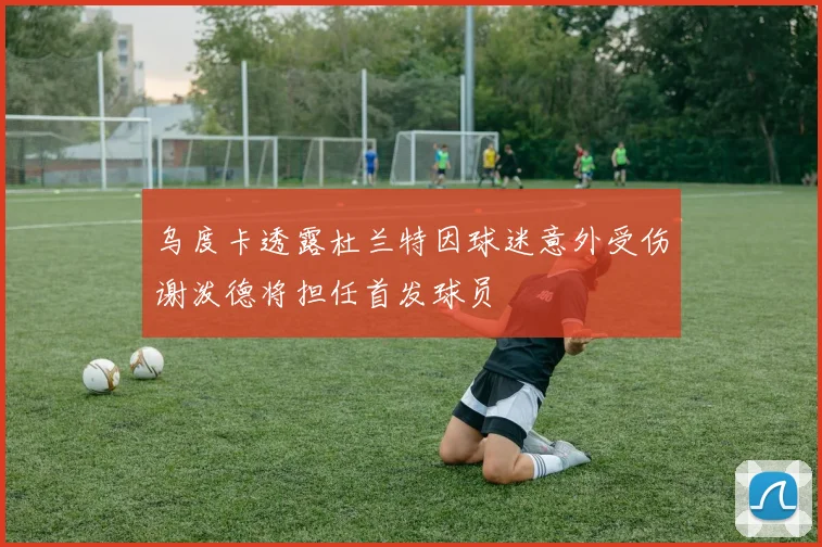 乌度卡透露杜兰特因球迷意外受伤谢泼德将担任首发球员